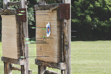 archery target arrows