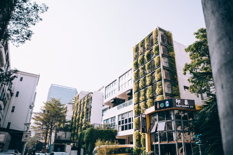 architecture covered in nature - a street with cars and buildings in the background