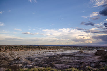 arizona tundra