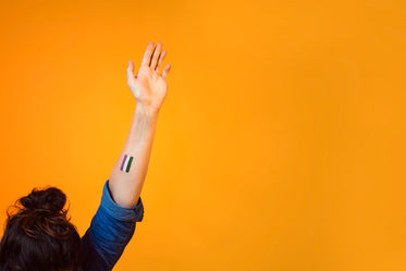 arm waving with genderqueer flag