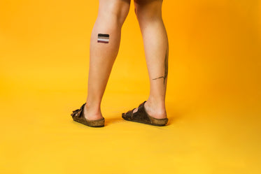 asexual pride flag painted on leg
