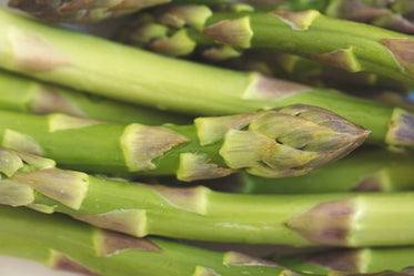 asparagus closeup