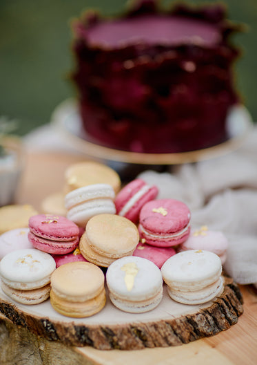 assorted macarons placed on natural wood