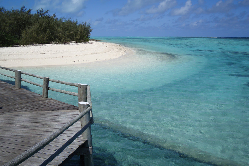 australian beach and clear ocean