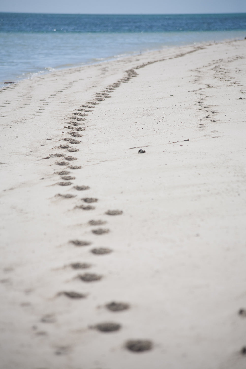 australian beach footprints