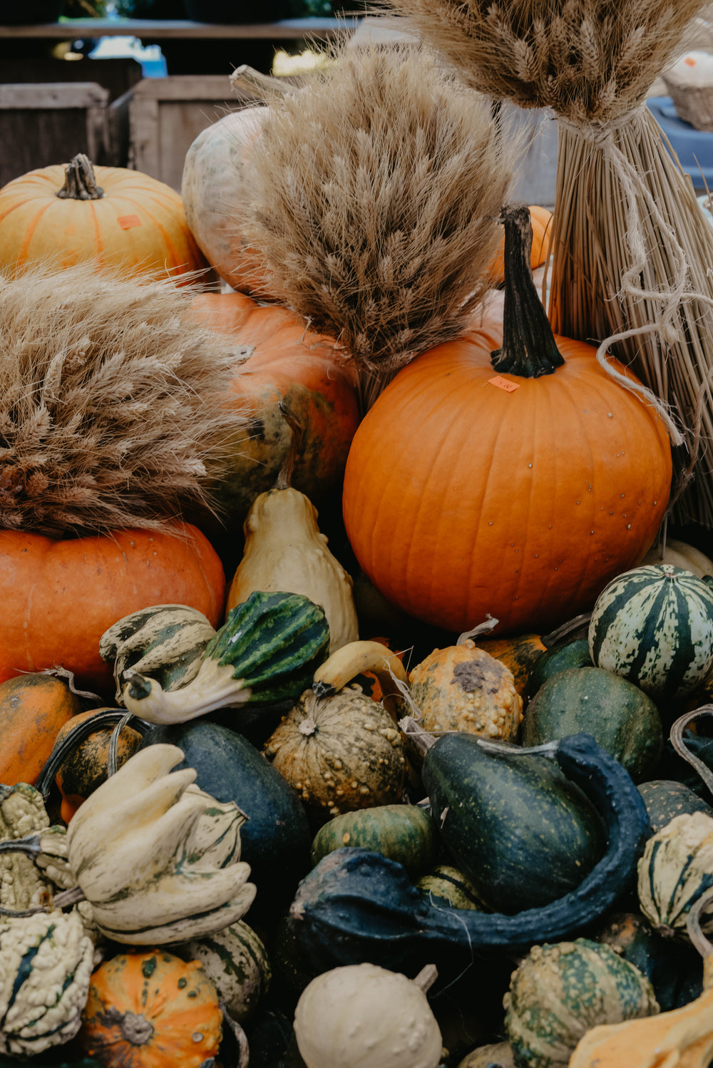 Thanksgiving or Halloween background with dried plants and fallen