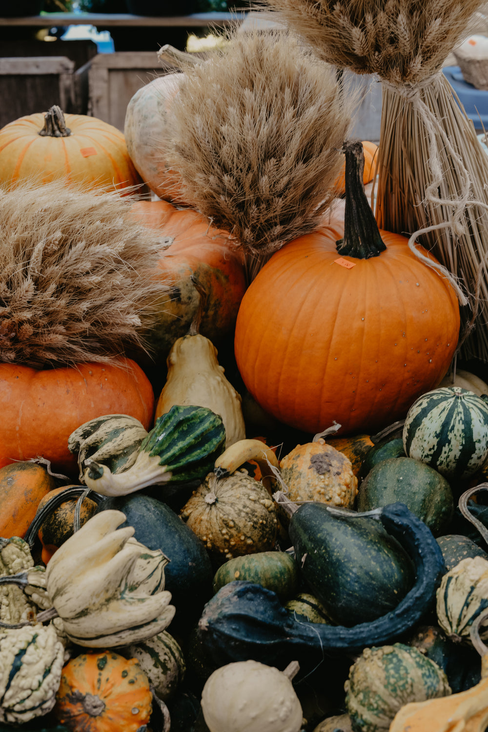 autumn harvest pile