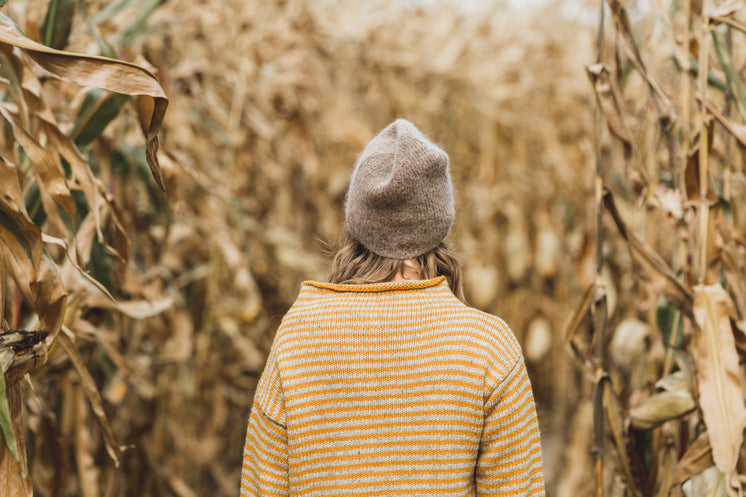 autumn-season-hiking.jpg?width=746&forma