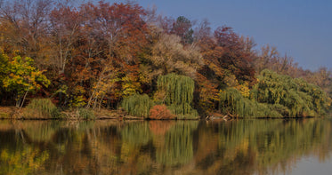 autumn trees line a still lake