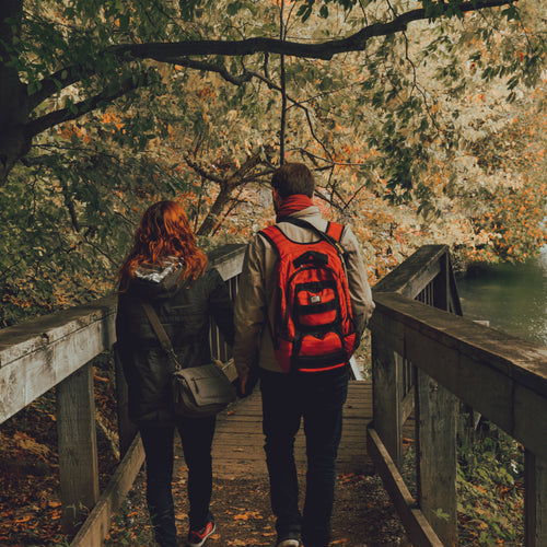 Autumn Walk Hand In Hand
