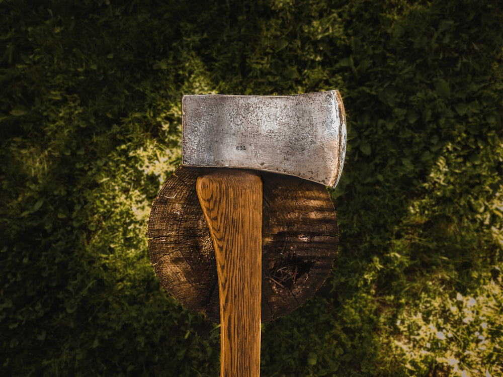 axe atop tree stump