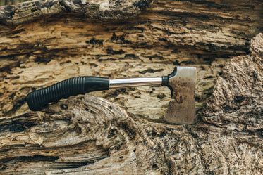 axe on fallen tree