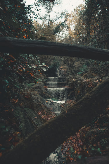 babbling brook through the trees