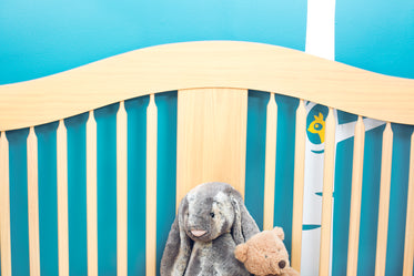 baby nursery crib design