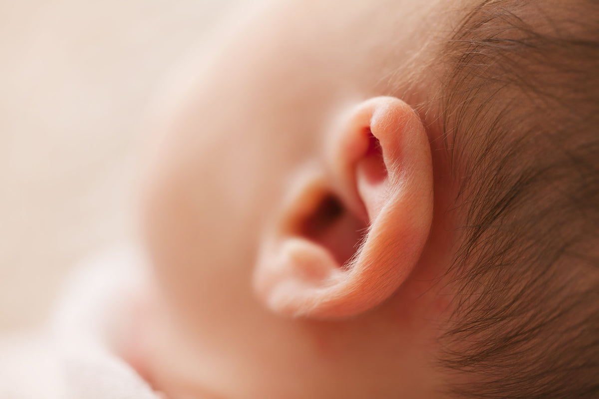 宝宝的耳朵仔细的观察