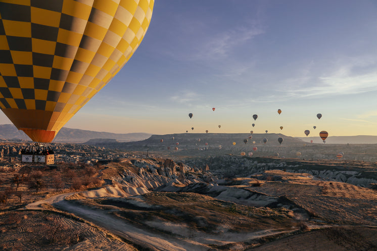 balloon-ride-with-a-view.jpg?width=746&format=pjpg&exif=0&iptc=0