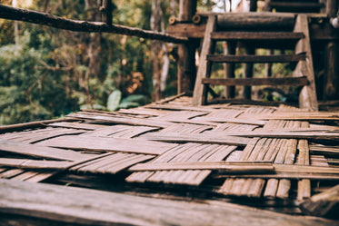 bamboo wooden floor in a forest