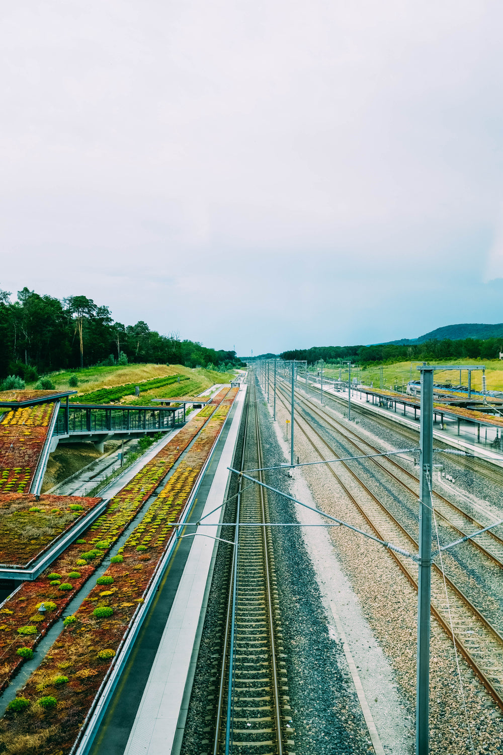 bare train tracks disappear into the distance