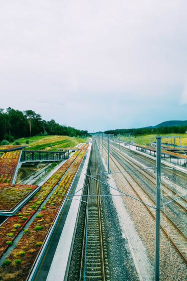 bare train tracks disappear into the distance