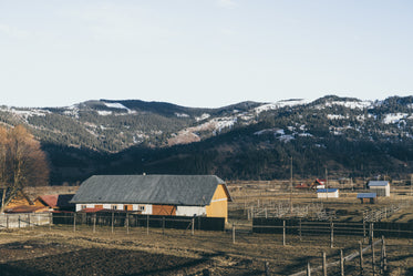 barn and paddocks on farm