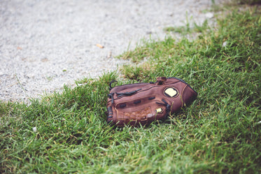 baseball glove in grass