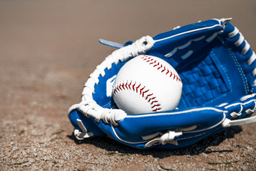 baseball & glove