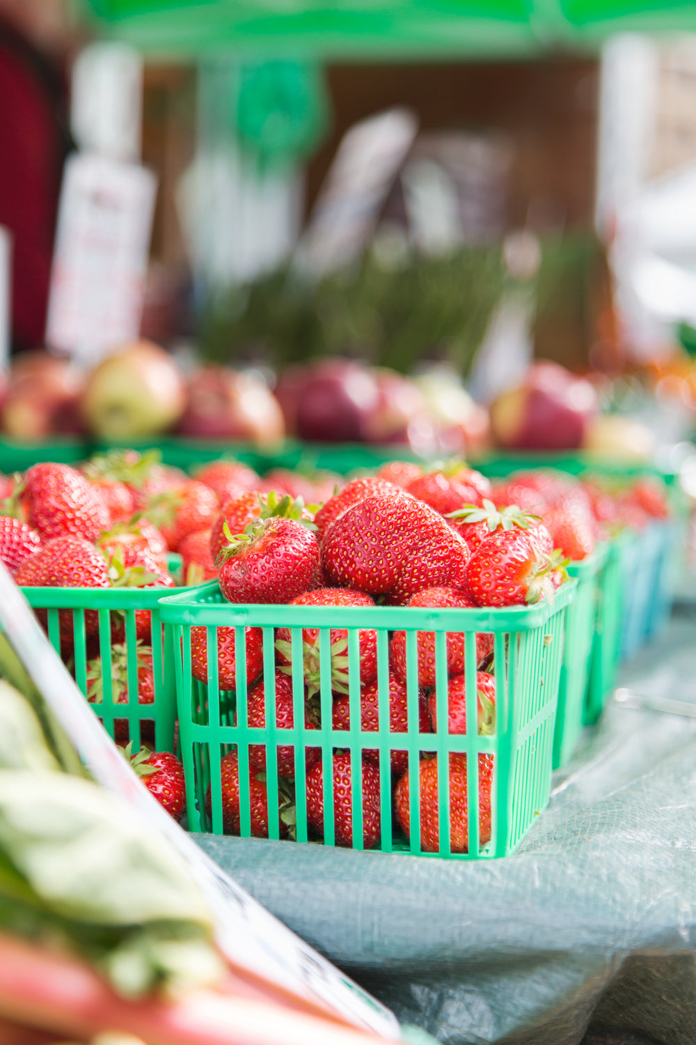 basket of strawberries