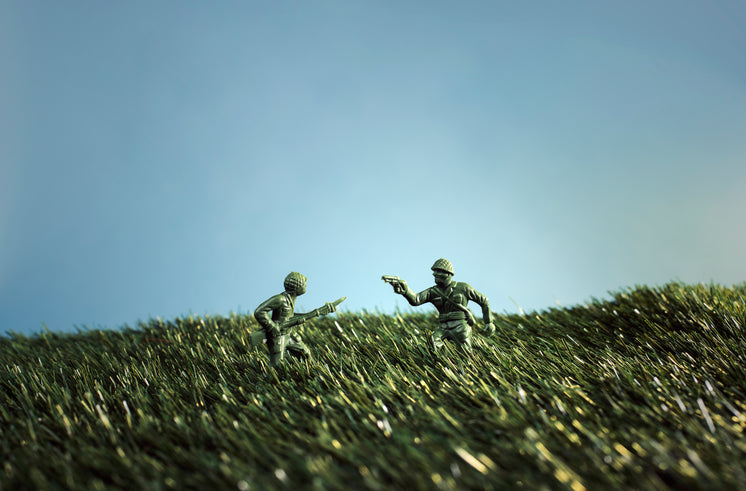 battling-toy-soldiers.jpg?width=746&format=pjpg&exif=0&iptc=0