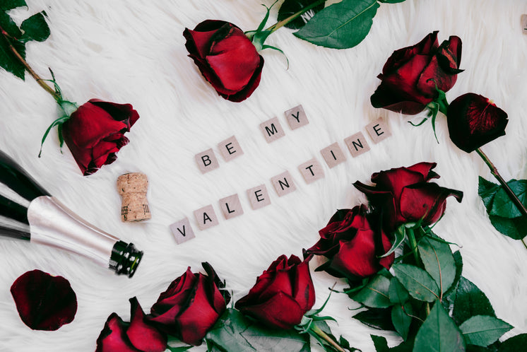 be-my-valentine-with-roses.jpg?width=746