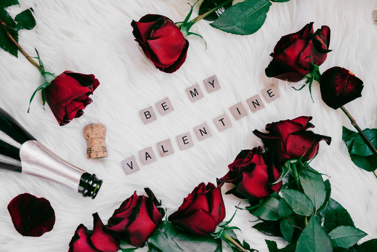 https://burst.shopifycdn.com/photos/be-my-valentine-with-roses.jpg?width=746&format=pjpg&exif=0&iptc=0