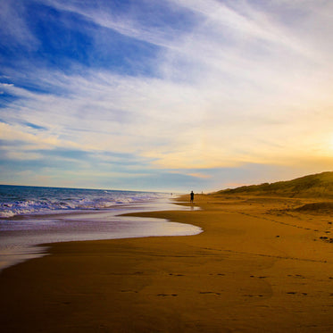 beach scene at sunset