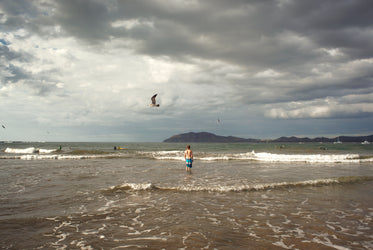 beach scene under cloudy sky