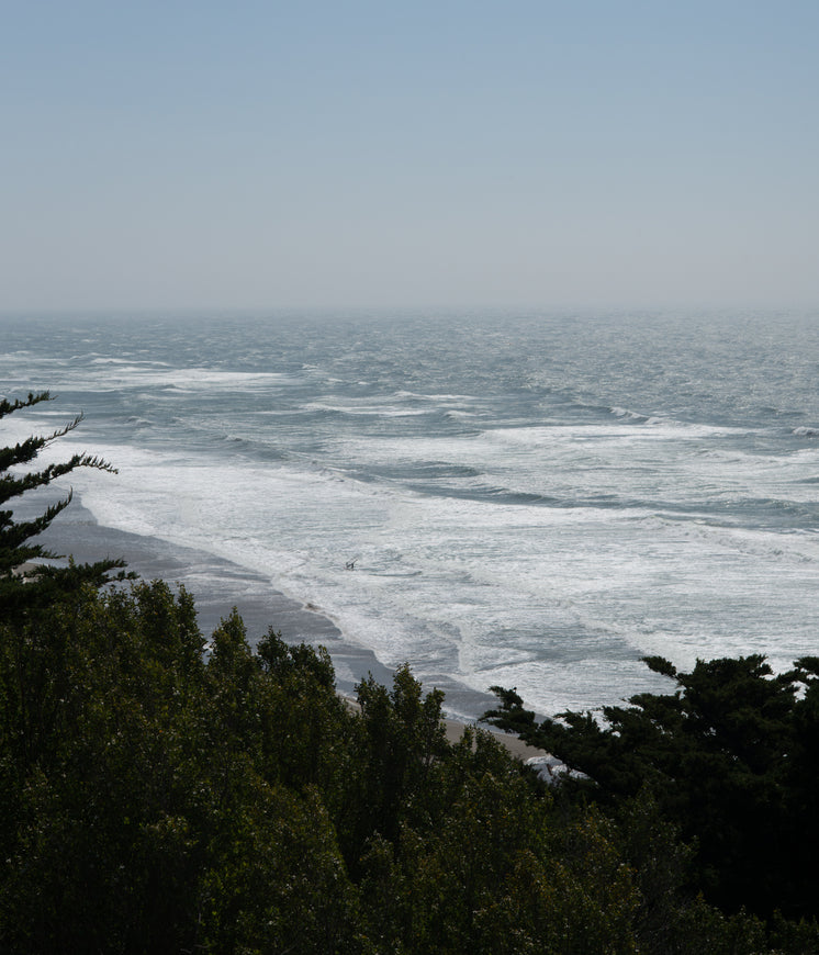 beach-waves-through-trees.jpg?width=746&format=pjpg&exif=0&iptc=0