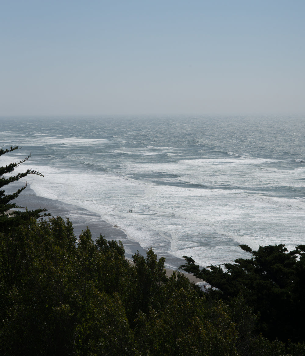 ondas na praia por trás das árvores