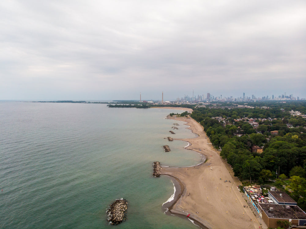 beach with city in the background