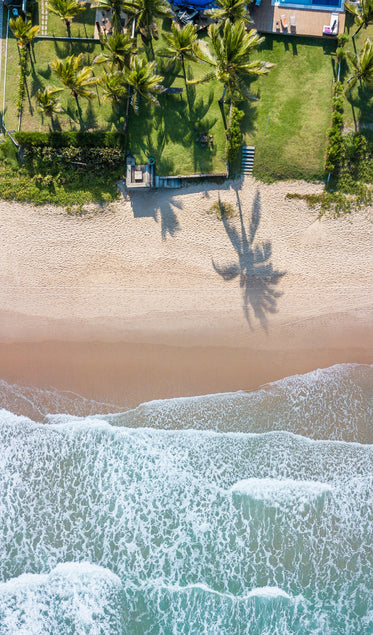 beachside yards with palms by water