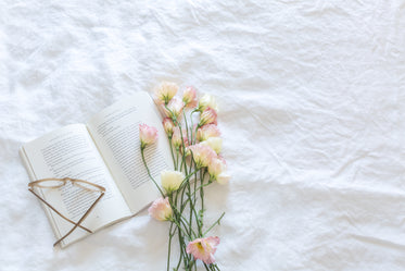 beautiful book & flowers