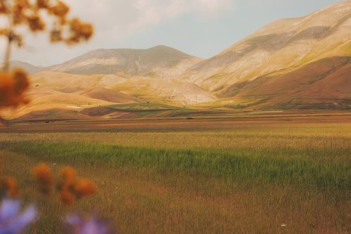 beautiful landscape of soft pastel grassy hills