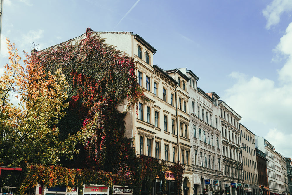 柏林baroque building
