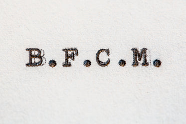 bfcm typed on white paper