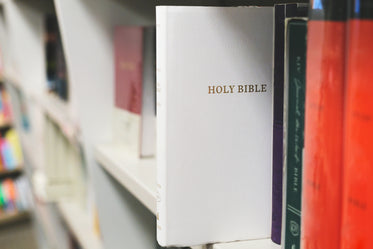 bible on book shelf