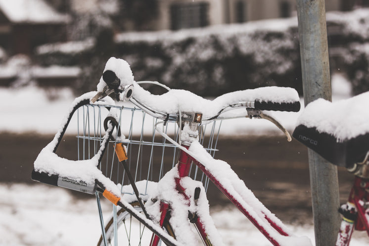 bicycle-covered-in-snow.jpg?width=746&format=pjpg&exif=0&iptc=0