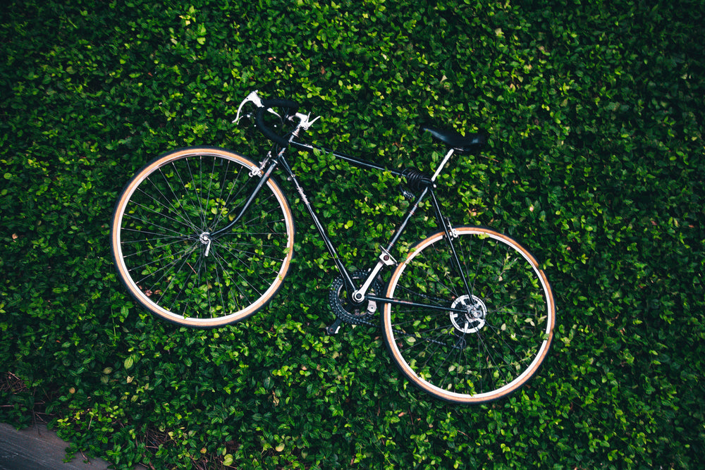 bicycle in the garden