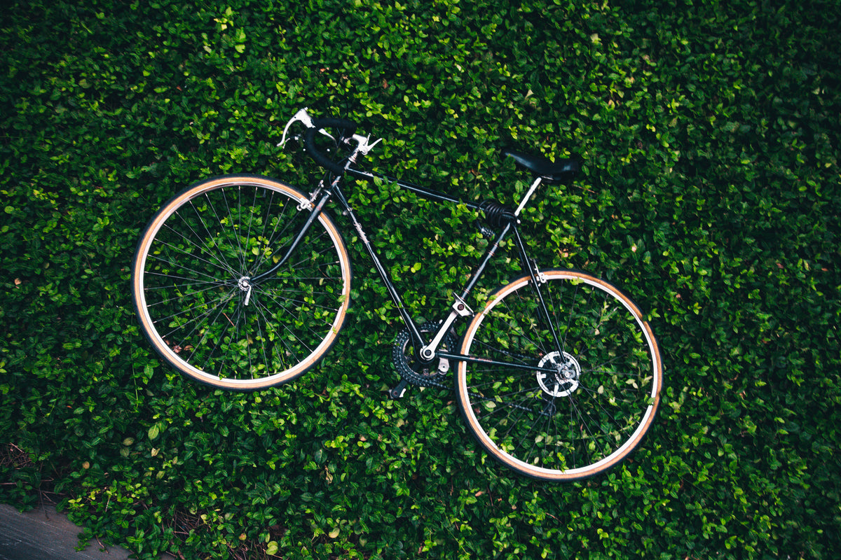 bicicleta no jardim