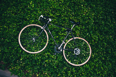 bicycle in the garden