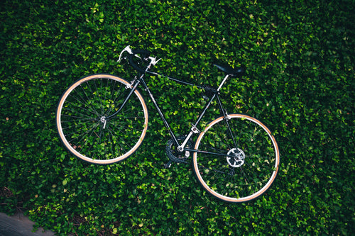 bicicleta no jardim