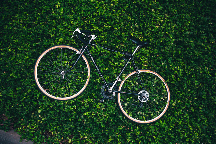 Bicycle In The Garden
