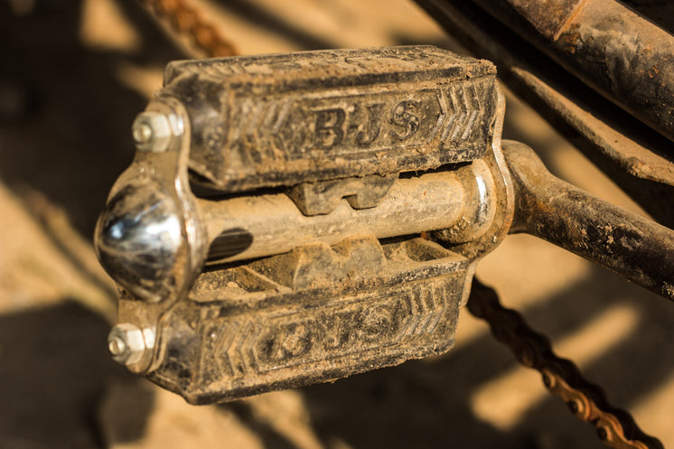 bicycle-pedal-covered-in-dirt.jpg?width=