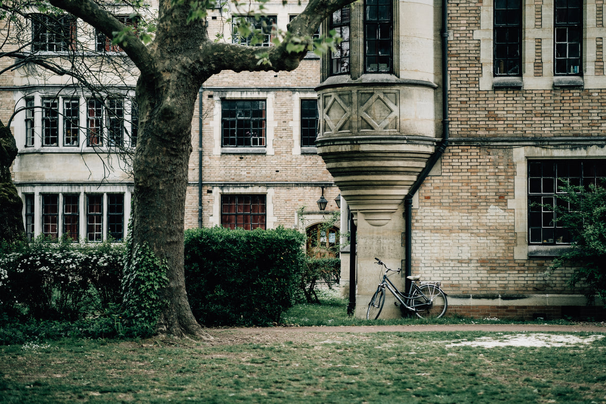 bicycle rests against an old building with green grass