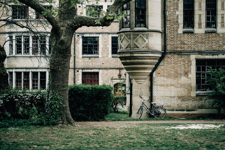 bicycle-rests-against-an-old-building-with-green-grass.jpg?width=746&format=pjpg&exif=0&iptc=0